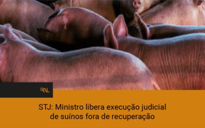 STJ: Ministro libera execução judicial de suínos fora de recuperação – por Migalhas